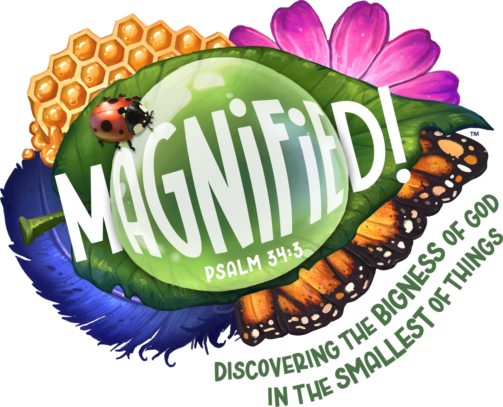 Magnified VBS - 2025 1