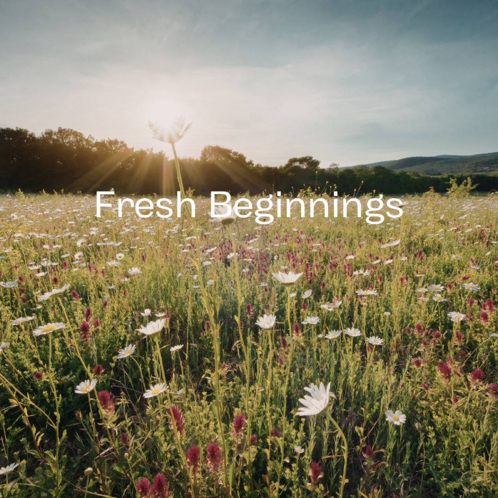 Fresh Beginnings 1