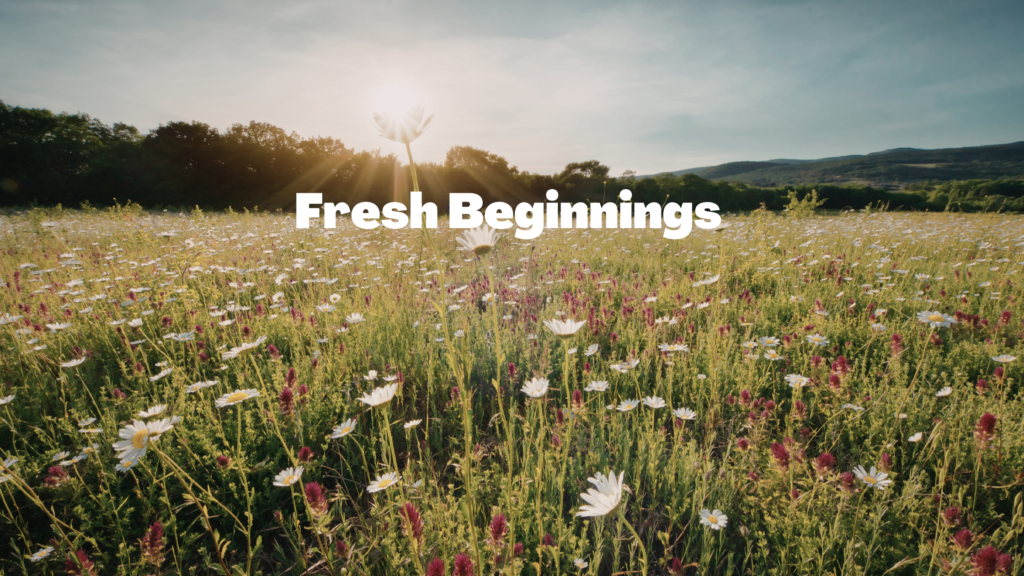 A field of wildflowers with text reading "Fresh Beginnings"