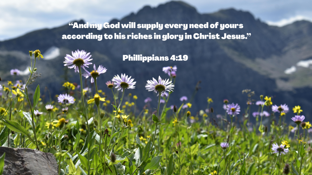 A shot of wildflowers overlooking mountains with text reading "And my God will supply every need of yours according to his riches in glory in Christ Jesus. --Philippians 4:19"